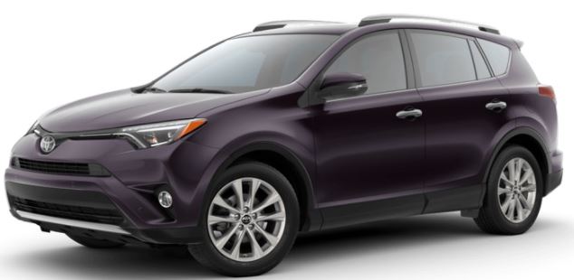 2018 Toyota RAV4 Black Currant Metallic