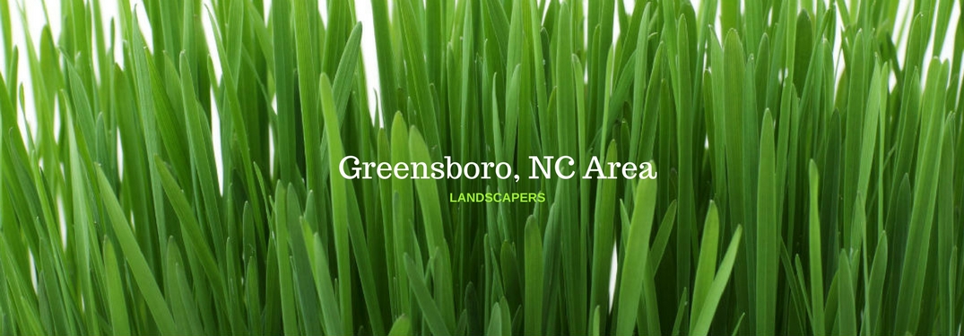 Community 2018 Greensboro Nc Area Landscaper Text On An Image Of Long Green Grass