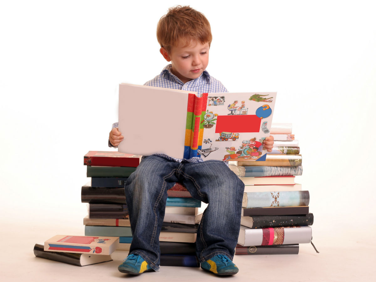 Kis reading a book while sitting on a pile of books b Brandon Ford Kis reading a book while sitting on a pile of books b Brandon Ford