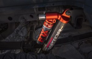 Fox shocks