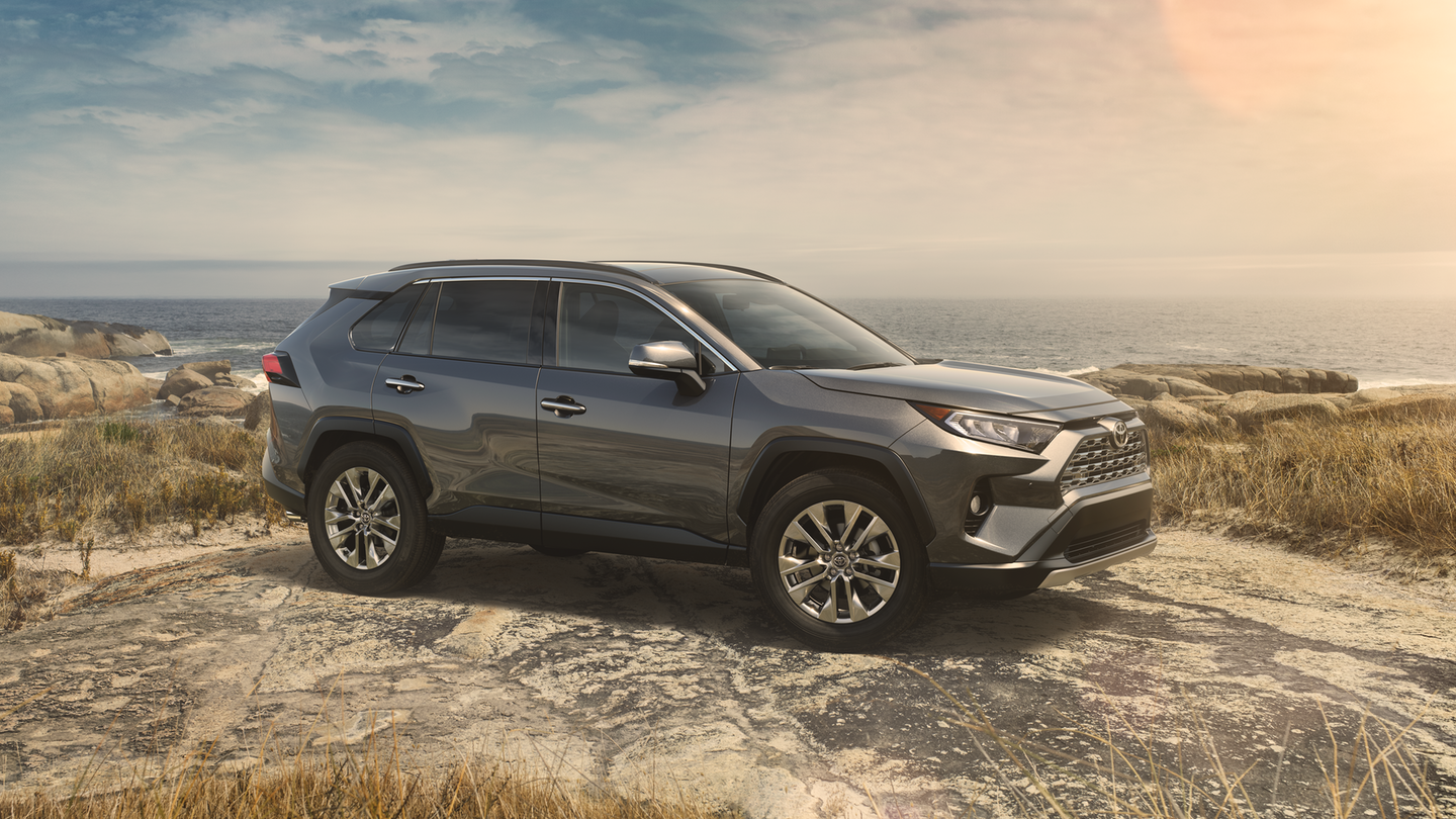 2019 Toyota RAV4 in Muncie, IN