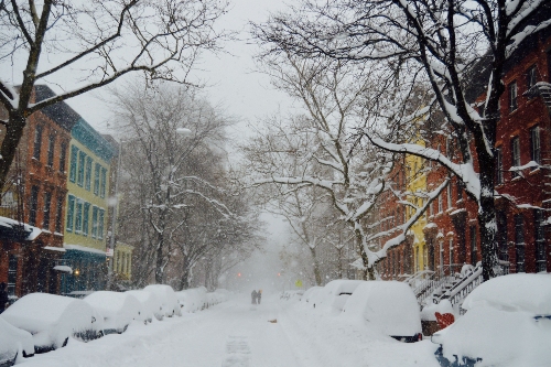 snow covered cars along street in a city neighborhood