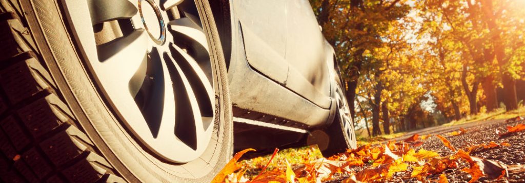 Prevent Damage To Your Vehicle From Falling Leaves With ... Prevent Damage To Your Vehicle From Falling Leaves With ...