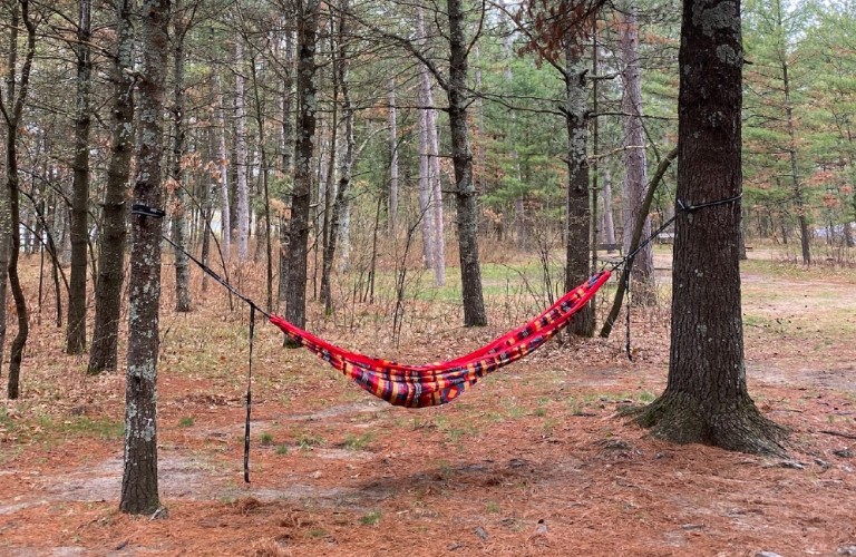 Hammock in woods