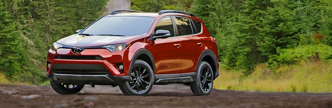 2018 Toyota RAV4 parked in the forest