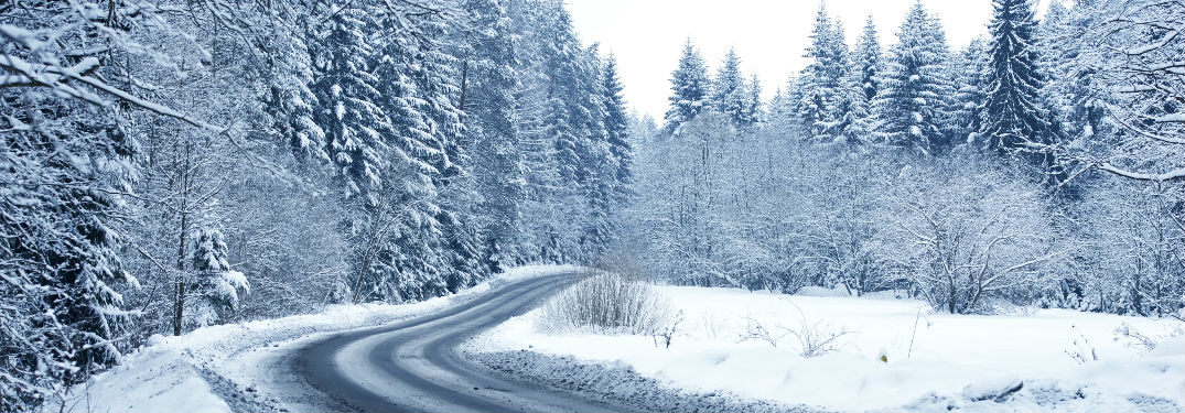 snow covered trees and winding road
