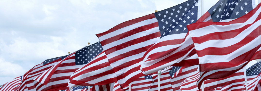 rows of american flags blowing together in the wind