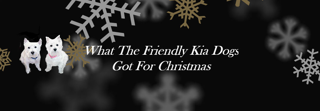 friendly kia dogs, ellie and gilly in front of snowflake background for friendly kia