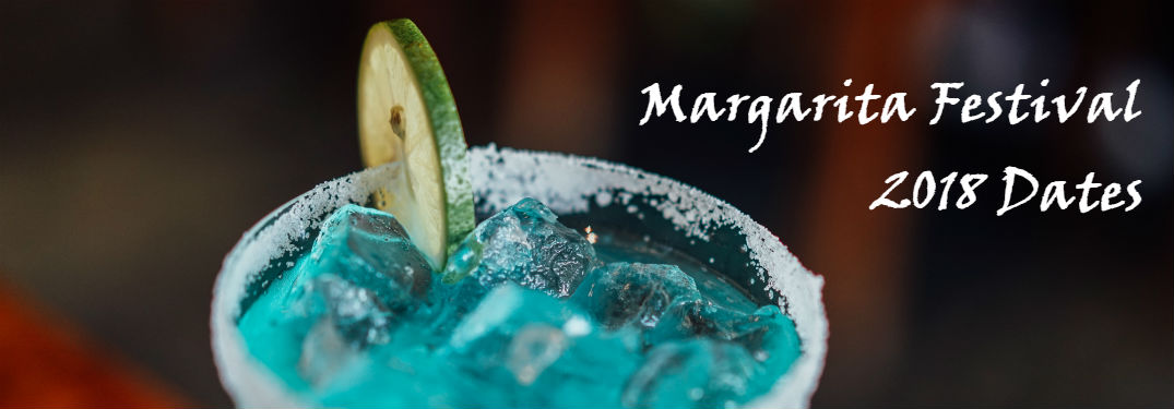 detail shot of margarita with lime in glass and salt on rim