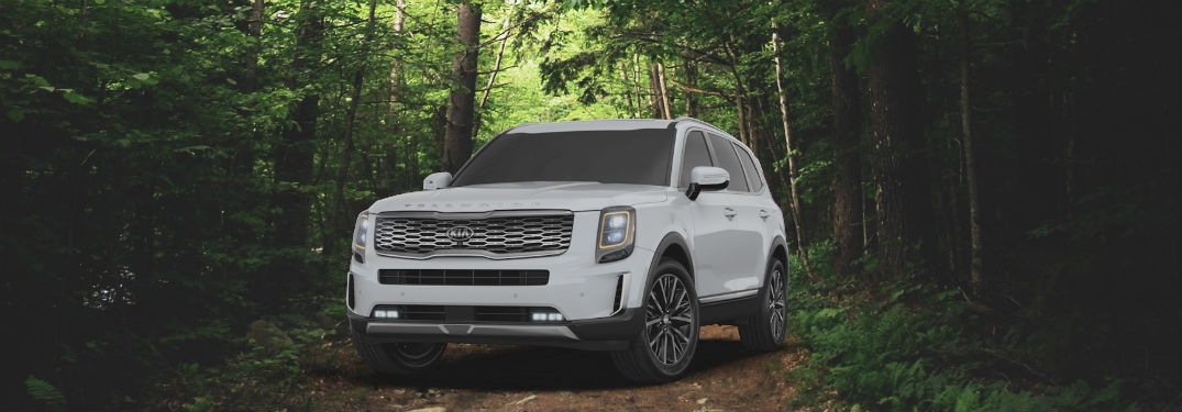2020 kia telluride in the woods