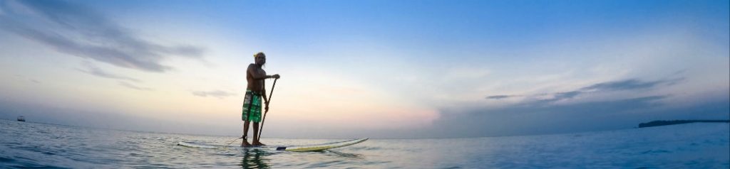 person paddle boarding in new port richey at sunset