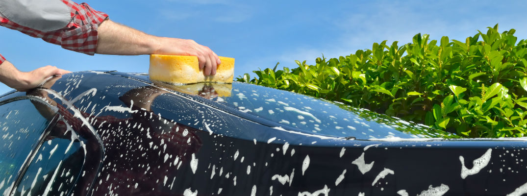 Person washing vehicle with yellow sponge