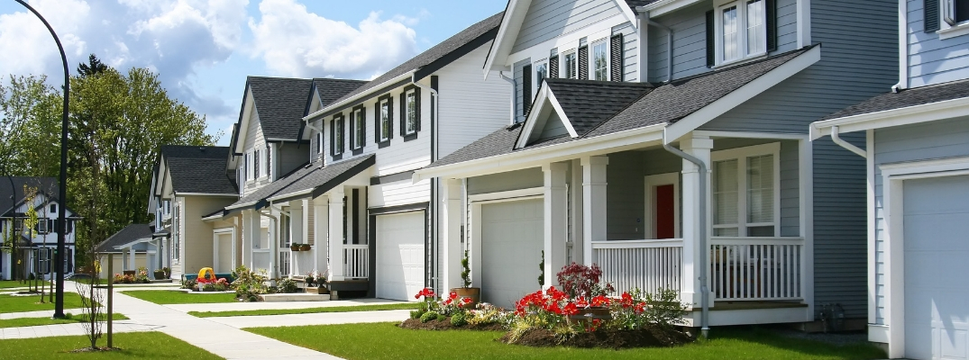 Lineup of homes