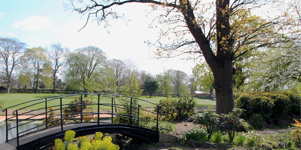 Bridge over stream in park