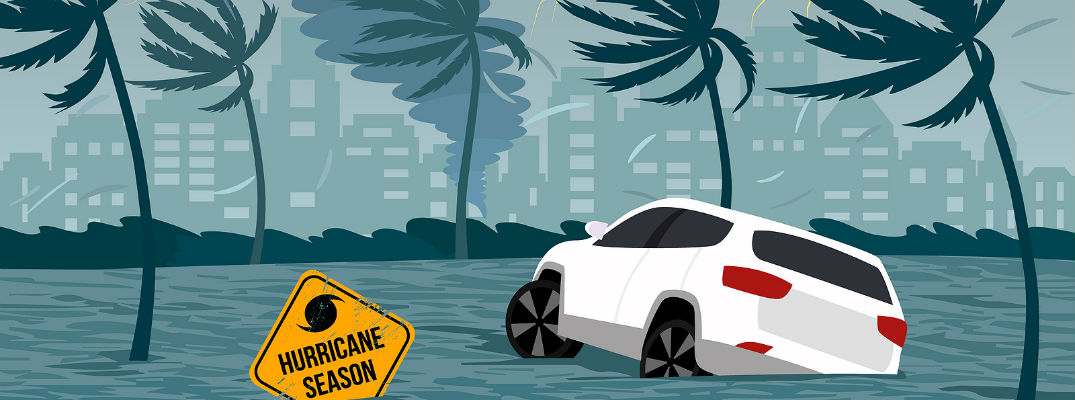 Vector of White car in water surrounded by palm trees and "Hurricane Season" sign