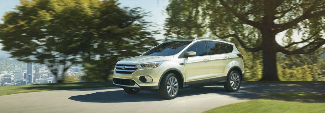 White 2018 Ford Escape Driving Through a Park