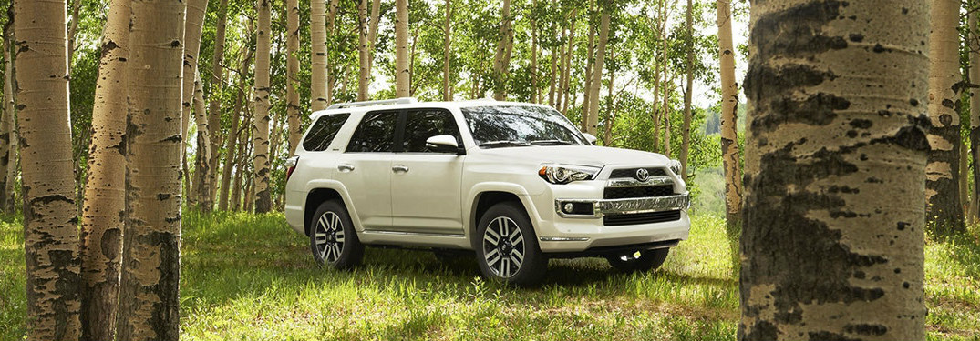 White 2018 Toyota 4Runner Driving Through a Forest