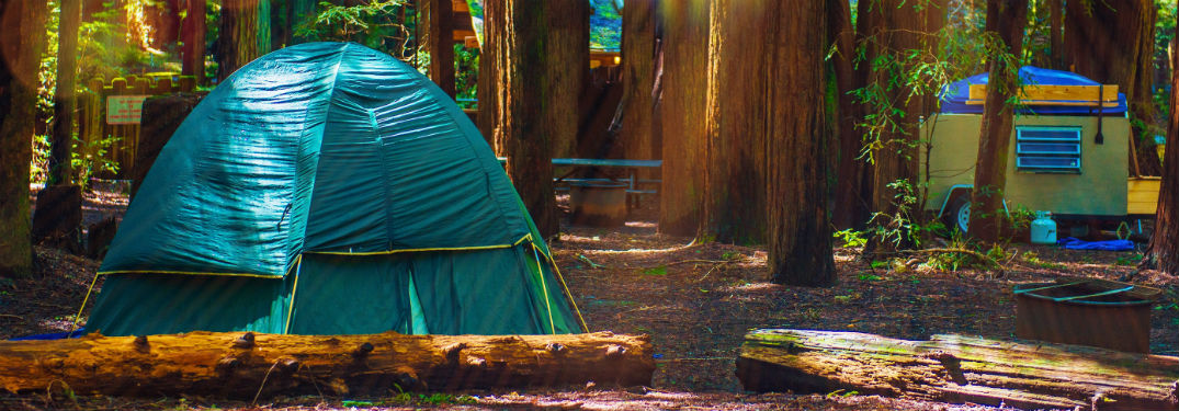 tent camping in redwood forest