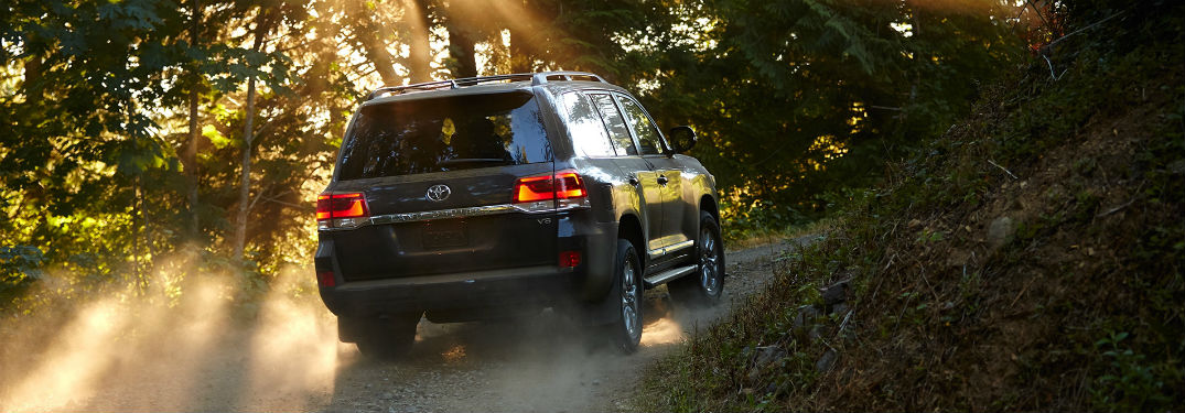 2019 Toyota Land Cruiser exterior back fascia and passenger side in woods with sunlight and dust