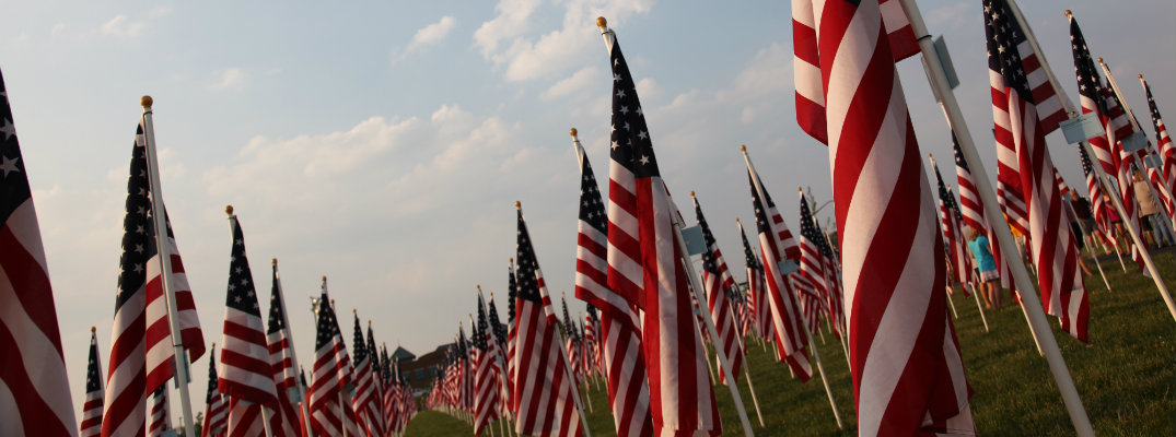 a field of American flags planted in a grass hill ground for a field of heroes on Memorial Day
