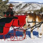 winter-2018-christmas-34_b