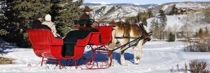 sleigh rides
