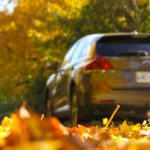 Sunny-Autumn-Country-Drive_b (1)