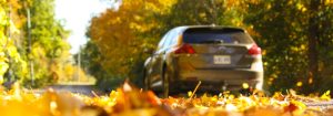 SUV driving over leaves