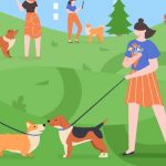 Dogs-At-Park-Pets-Playing_b