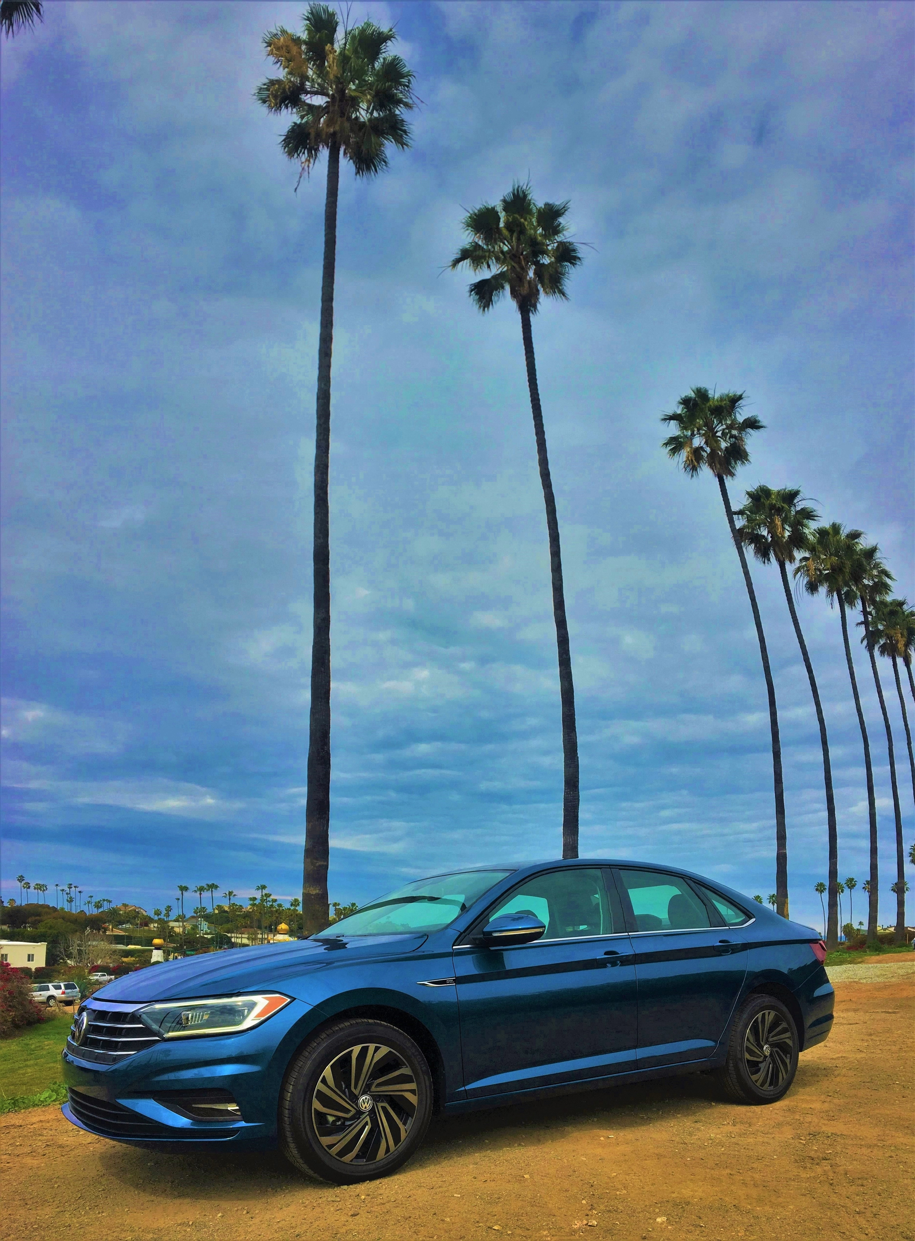 2019 Jetta Under Palm Trees