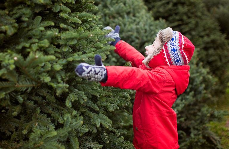 Little person about to hug a tree