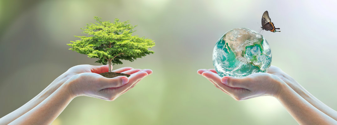 Hand holding tree next to hand holding globe to illustrate Arbor Day