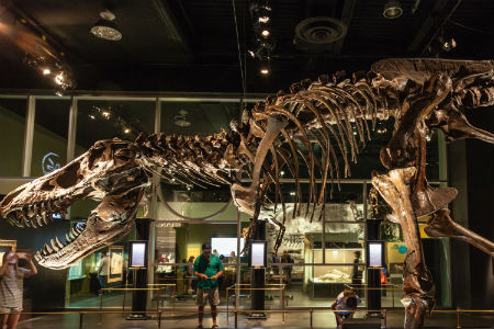 Fun Places To Eat Near Museum Of Natural History Fun Places To Eat Near Museum Of Natural History