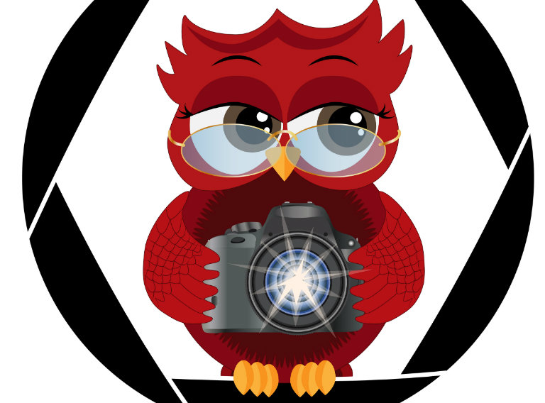 How Does the Bird’s Eye View Camera Work?