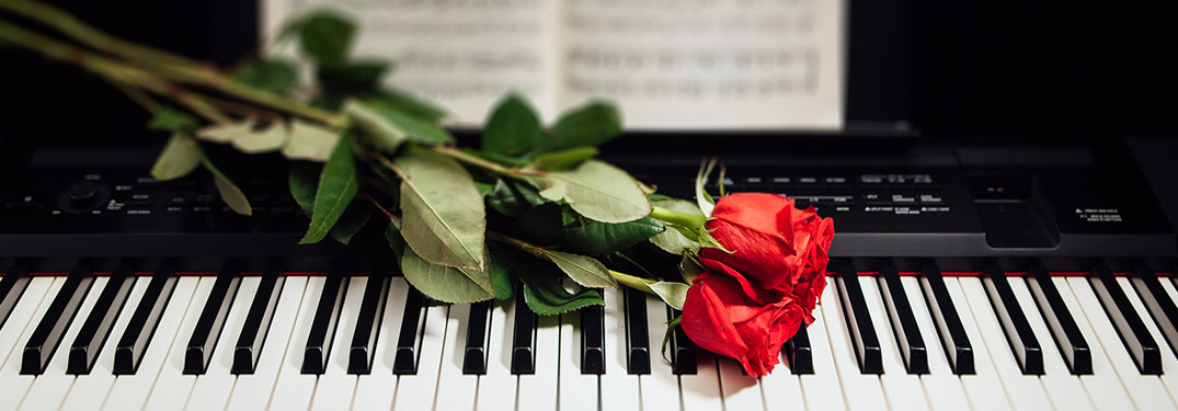 Roses laid out over piano in restaurant for Valentine's Day