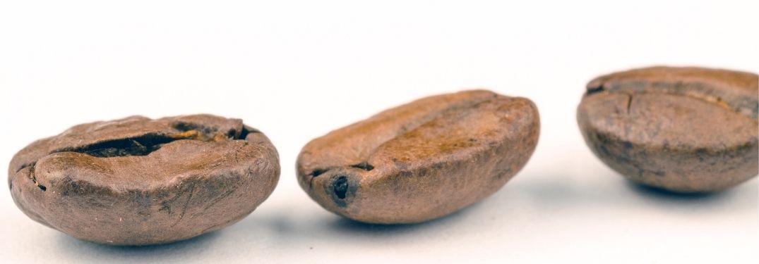 three coffee beans on white ground