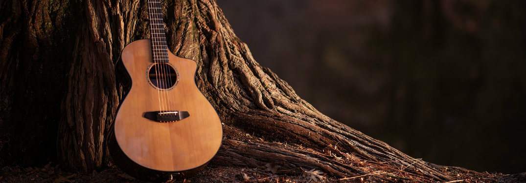 guitar by tree