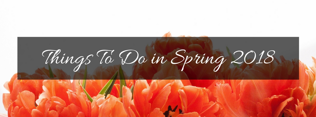 Orange Flowers on a White Background with Black Text Box and White Things To Do in Spring 2018 Text