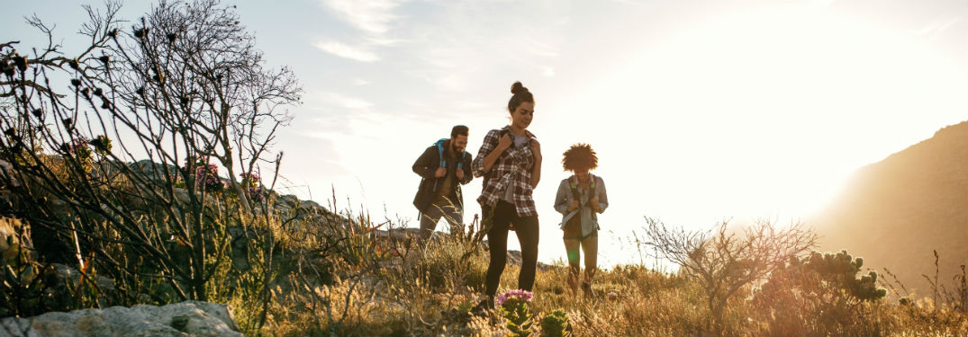 3 friends hiking on a hill