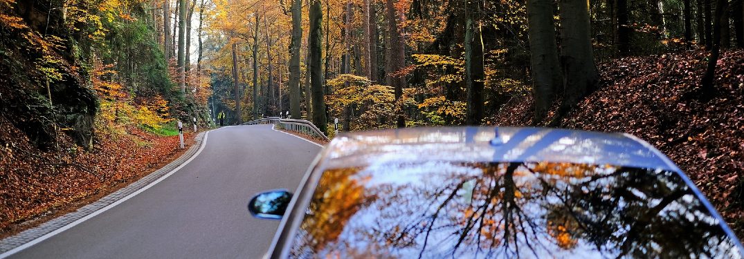 car driving down autumn road