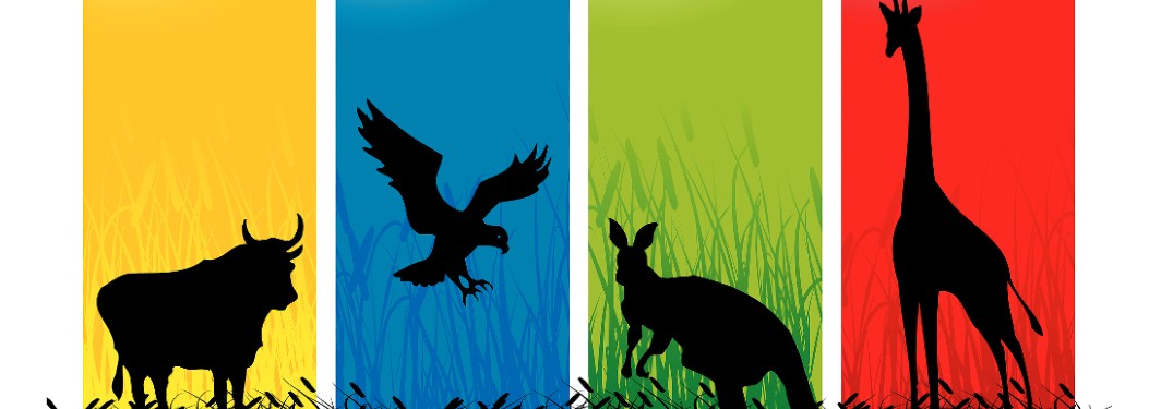 Colorful background with shadows of four wildlife critters