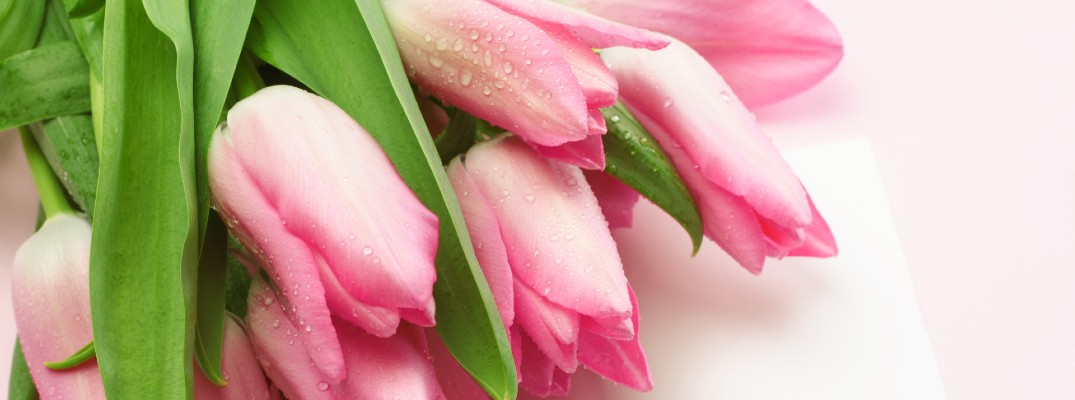 A bouquet of flowers representing Mother's Day.