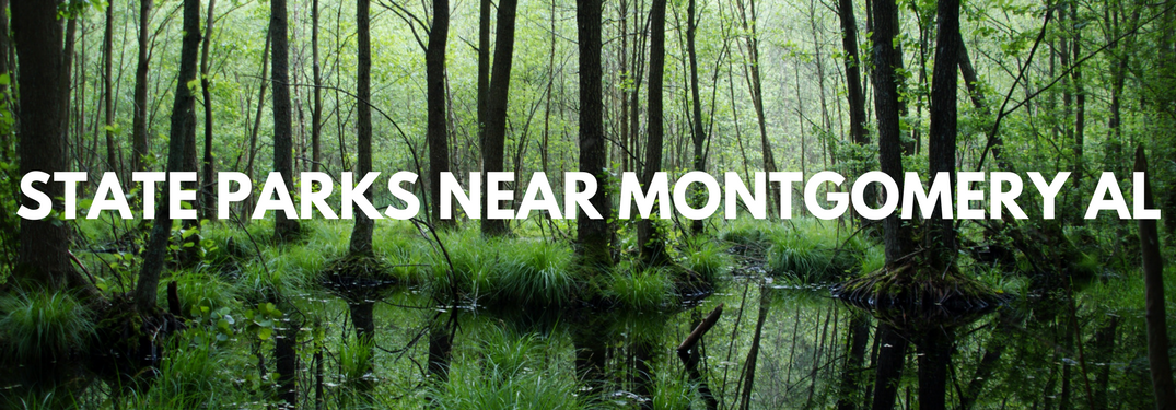 State Parks near Montgomery, AL on a forested background