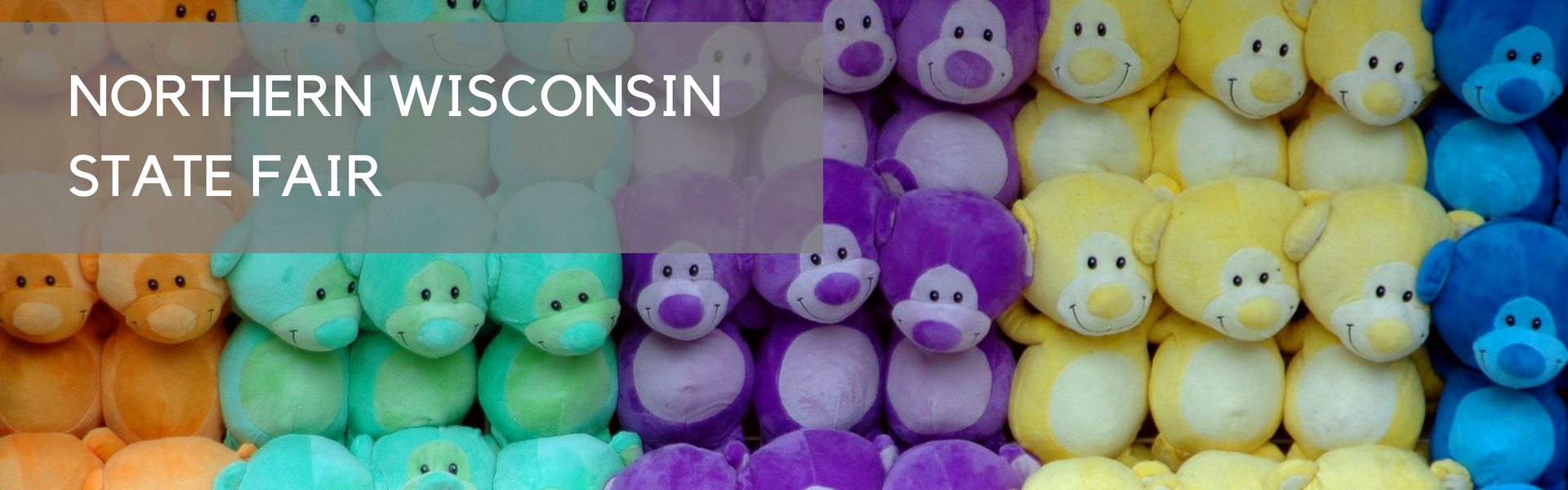 State Fair