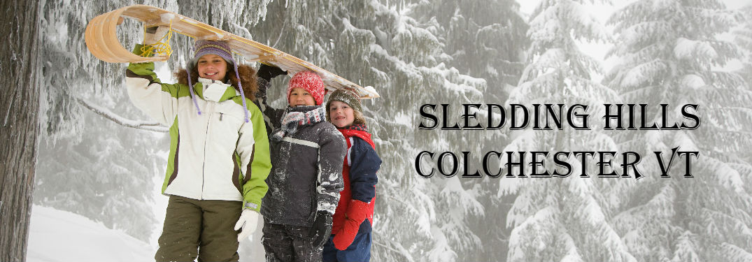 Kids with a sled