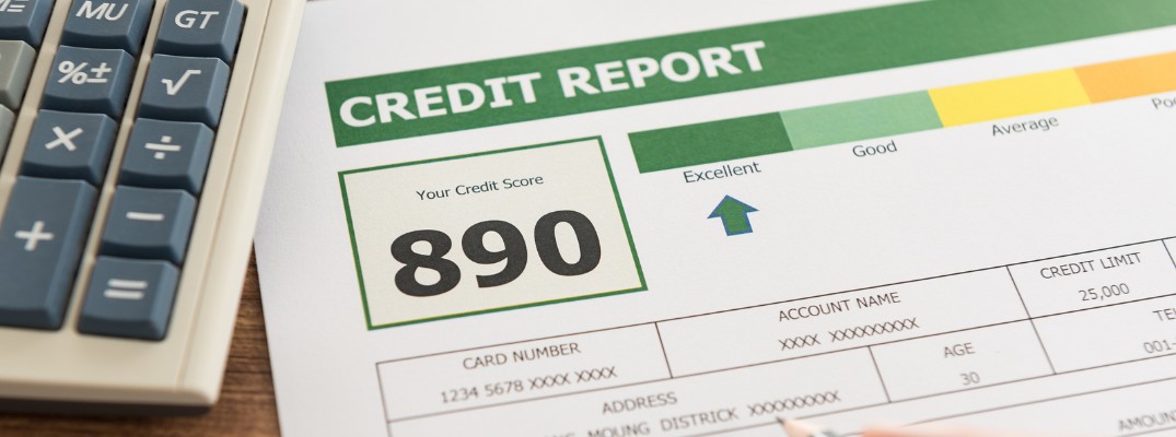 Isolated image of credit score
