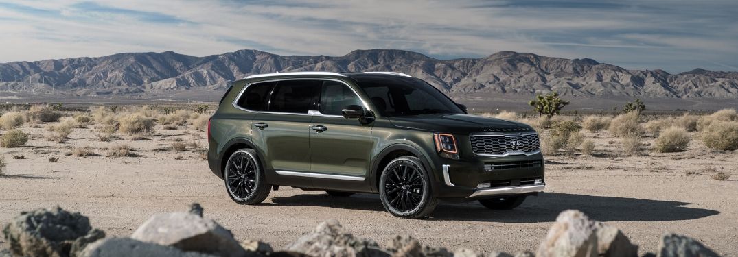 2020 Kia Telluride on road