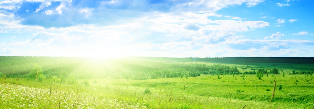 blue sky and green grass with sunrise