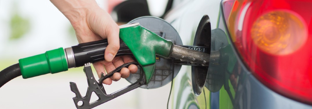 a hand holding a gas station fuel pump
