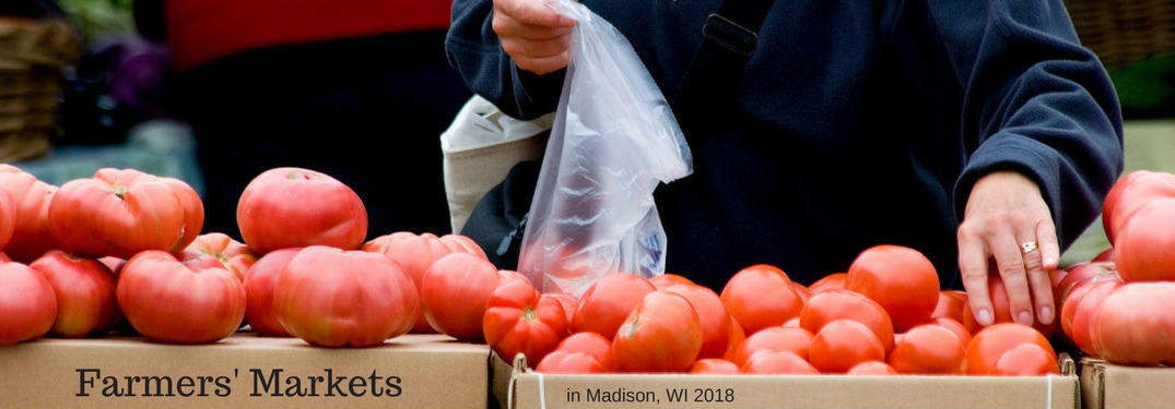 Farmers markets in Madison, WI 2018, text on an image of a woman hand selecting tomatoes